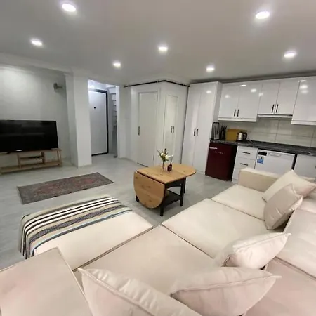 Renovated 2br Near Metro Istambul