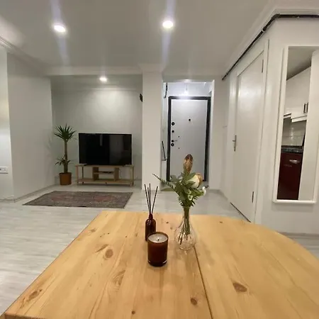 Renovated 2br Near Metro Istambul